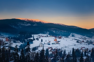 鸟瞰图摄影的雪山包围的落叶松树木
